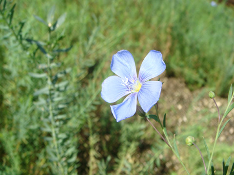 f0146493_1062182.jpg