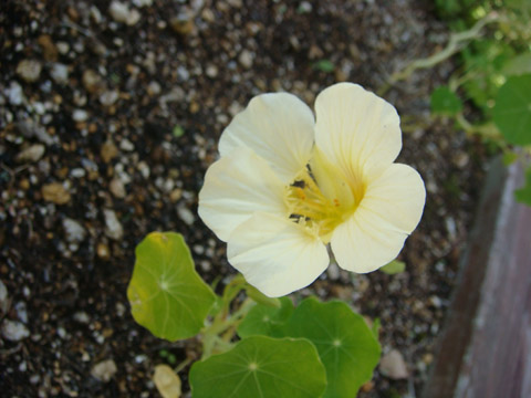 f0146493_1072082.jpg
