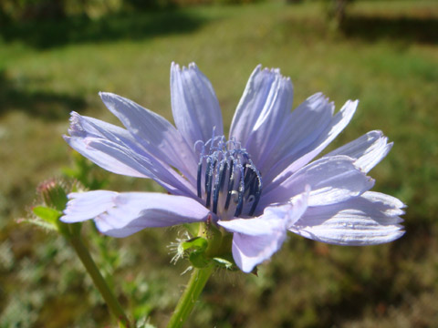 f0146493_10818100.jpg