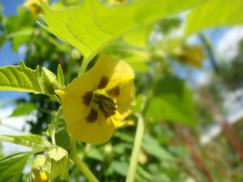 f0146493_10928.jpg