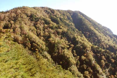 e0120896_1063440.jpg