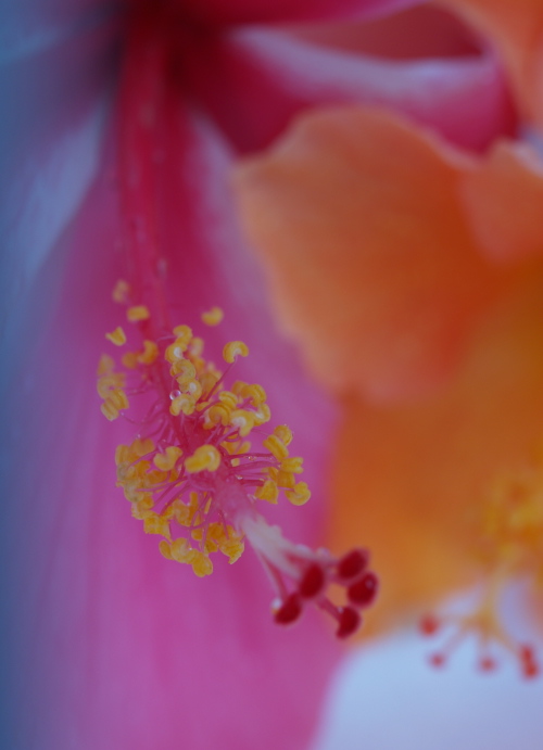 e0089001_20141328.jpg