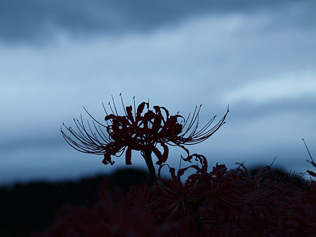 a0041508_22612100.jpg