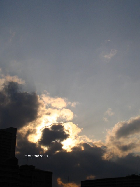 b0118511_18533880.jpg