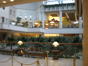 d0038319_13215229.gif