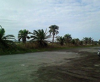 f0077727_03435100.jpg