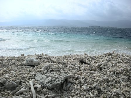 d0132128_019243.jpg