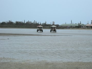 d0132128_021580.jpg