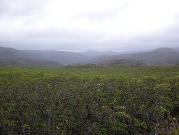 d0132128_0225698.jpg