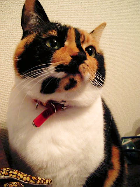 f0154033_00854.jpg
