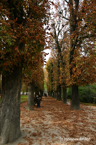c0024345_17504285.jpg