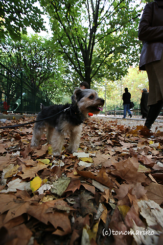 c0024345_1752852.jpg