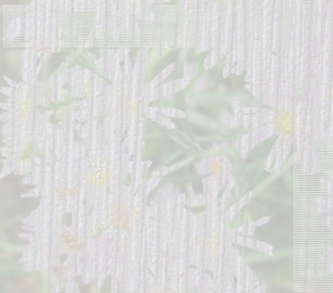 f0031546_19135648.gif