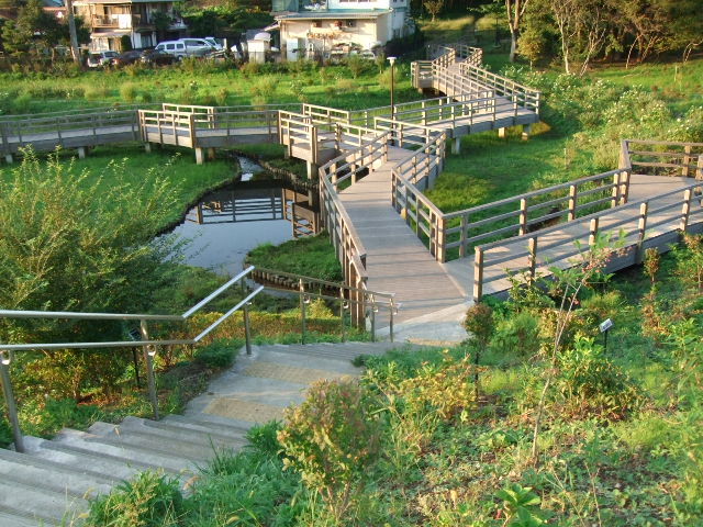 e0120072_2022454.jpg