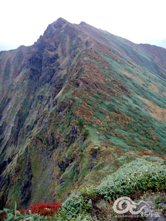 【トレイルハイク】谷川連峰馬蹄型縦走 071006~08 3日目_d0079579_12105544.jpg