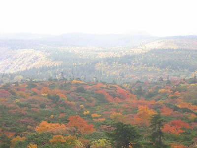 a0038882_11331434.jpg