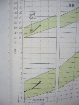 c0083484_23325424.jpg