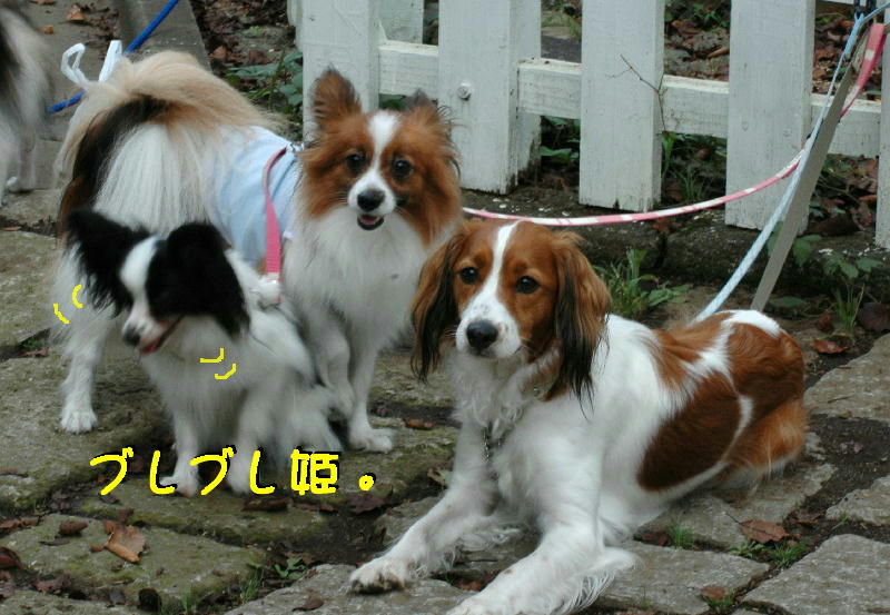 c0075585_07379.jpg