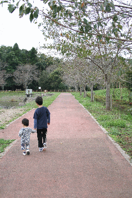 d0100192_2024481.gif