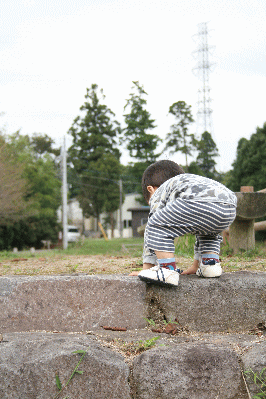 d0100192_20251962.gif