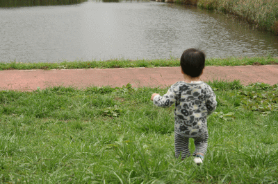d0100192_20254851.gif