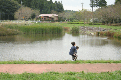 d0100192_20262121.gif