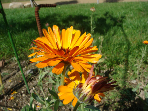 f0146493_1024987.jpg