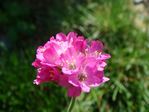f0146493_10253080.jpg