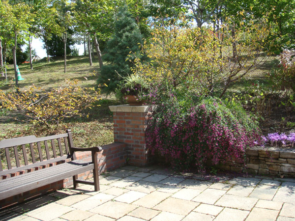 f0146493_10261355.jpg
