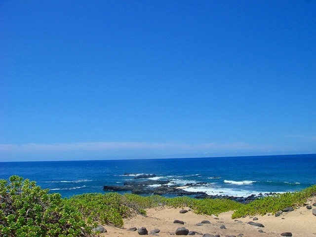 ＫＡＥＮＡ　ＰＯＩＮＴ。_d0087496_2246265.jpg