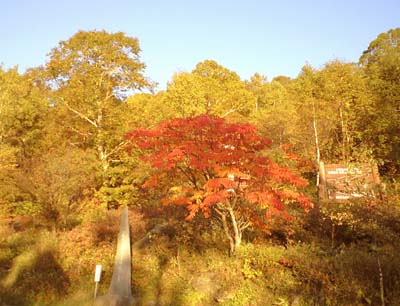 高峰高原の紅葉が綺麗です。_e0120896_7515371.jpg