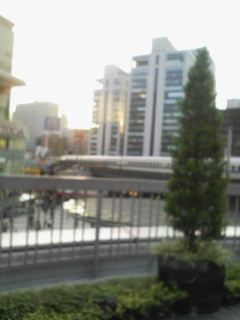 b0055301_0272564.jpg