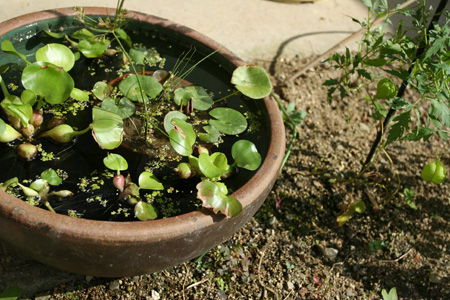 a0024504_2275719.jpg