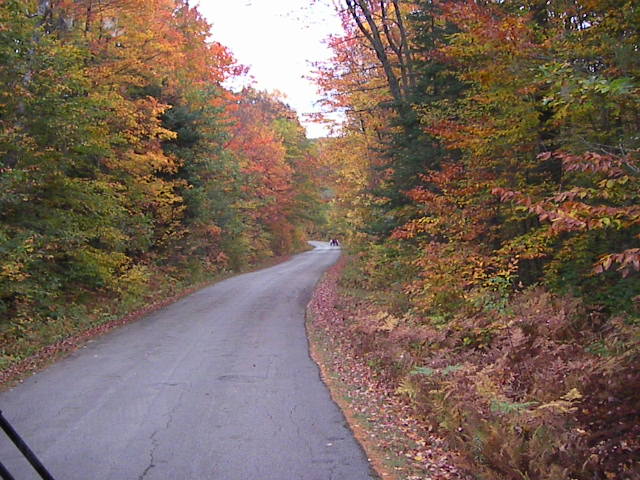 f0038407_112142.jpg