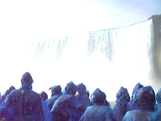 f0038407_114961.jpg