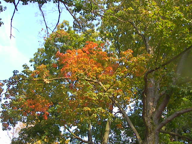 f0038407_11542472.jpg