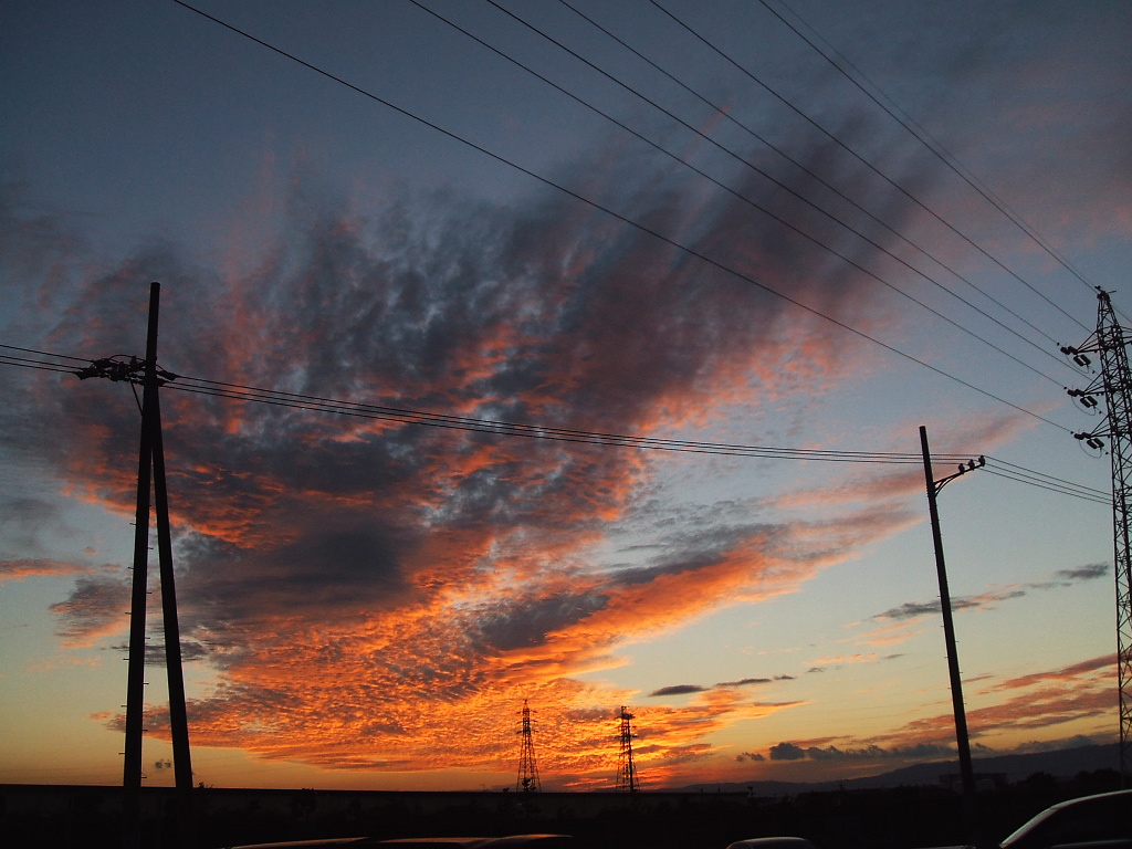 a0030713_2042288.jpg