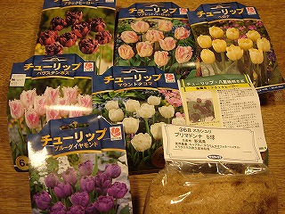 f0054421_0334523.jpg