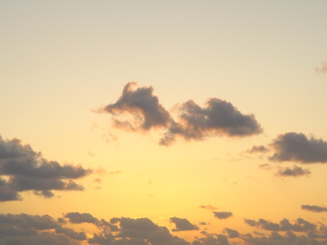 c0003723_15511648.jpg