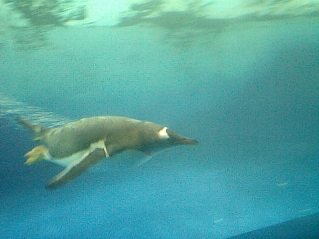 a0072036_251163.jpg