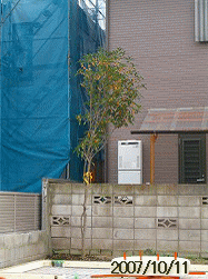 c0025852_84428100.gif