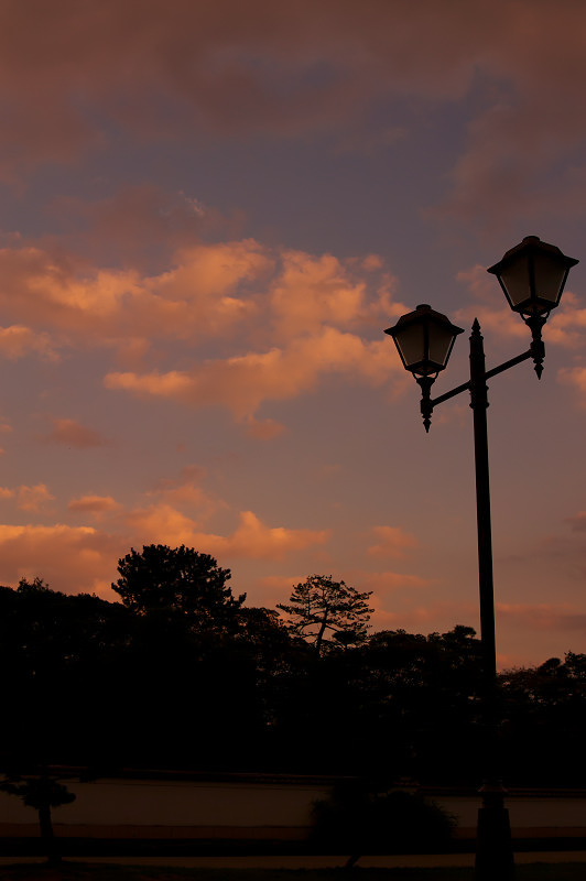 夕暮れの駿府公園にて_f0072758_21252417.jpg