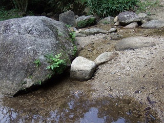 b0095061_99547.jpg