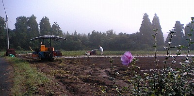 b0061863_21495023.jpg