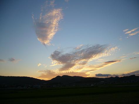 a0093566_2140571.jpg