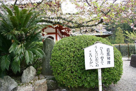 西国観音巡礼 <第3番 風猛山 粉河寺>_a0045381_82129.jpg