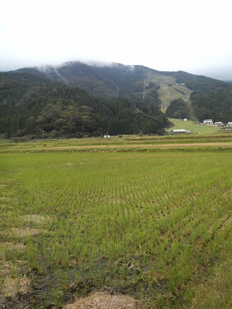 e0024081_2014712.jpg