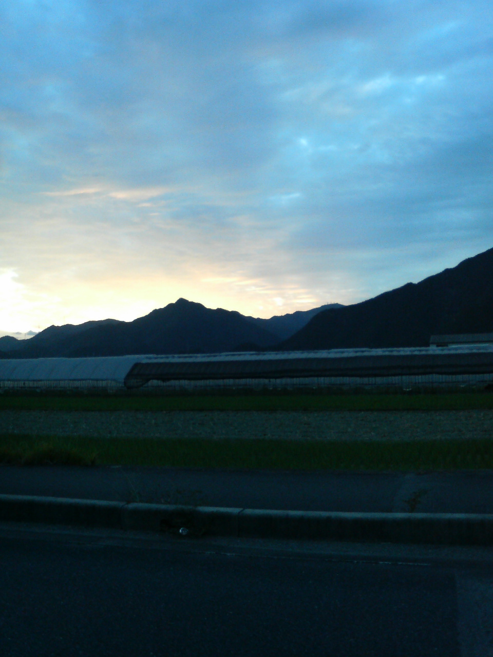 e0024081_20191229.jpg