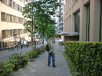 c0097309_12432841.jpg