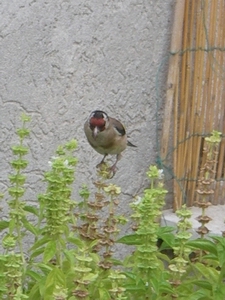 f0133814_0442980.jpg